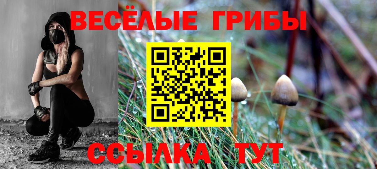 Псилоцибиновые грибы мицелий  Вход с VPN  Псилоцибиновые грибы Magic Shrooms  Междуреченск 