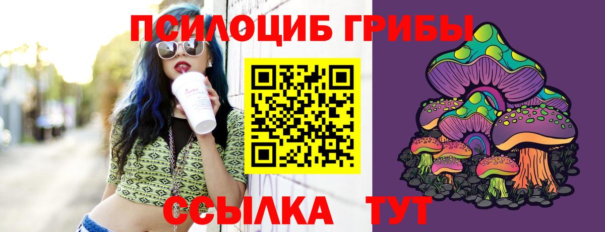 Псилоцибиновые грибы Cubensis Междуреченск